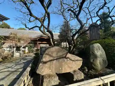 王禅寺の{uncategorized: "未分類", other: "その他", undefined: "問題あり", building: "その他建物", grave: "お墓", sacred_gate: "鳥居", guardian: "狛犬", statue: "像", buddha: "仏像", history: "歴史", nature: "自然", garden: "庭園", animal: "動物", pagoda: "塔", temizu: "手水舎", mountain_gate: "山門・神門", sanctuary: "本殿・本堂", subordinate: "末社・摂社", art: "芸術", scenery: "景色", jizo: "地蔵", ema: "絵馬", goshuin: "御朱印", omikuji: "おみくじ", items: "授与品その他", amulet: "お守り", goshuincho: "御朱印帳", eats: "食事", festival: "お祭り", votive_dance: "神楽", shichigosan: "七五三参", wedding: "結婚式", experience: "体験その他", initially: "初詣", around: "周辺", anti_infection: "感染症対策"}