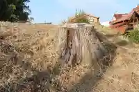 築地神社の自然
