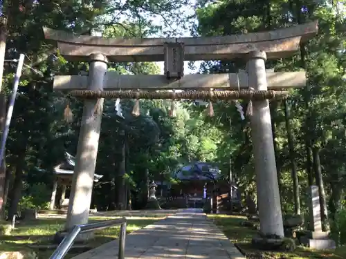 佐々牟志神社の鳥居