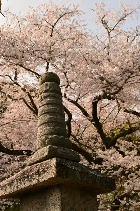 掌禅寺(愛媛県)