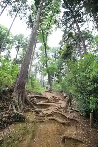高麗神社(埼玉県)