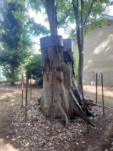 藤間諏訪神社(埼玉県)