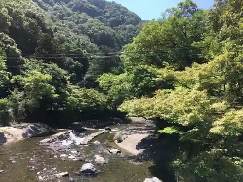 光明寺瑠璃光院の自然