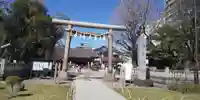 浅草神社の鳥居