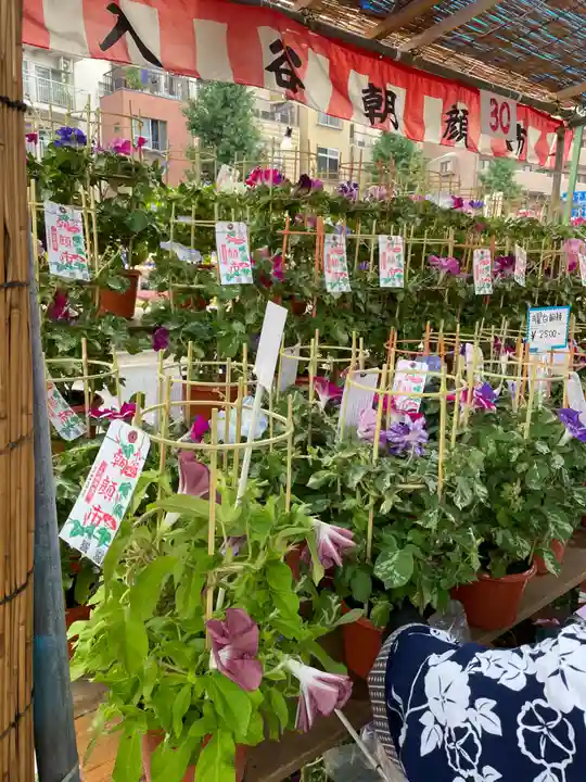真源寺(入谷鬼子母神)(東京都)