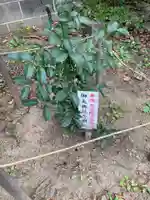 松尾大神(神奈川県)