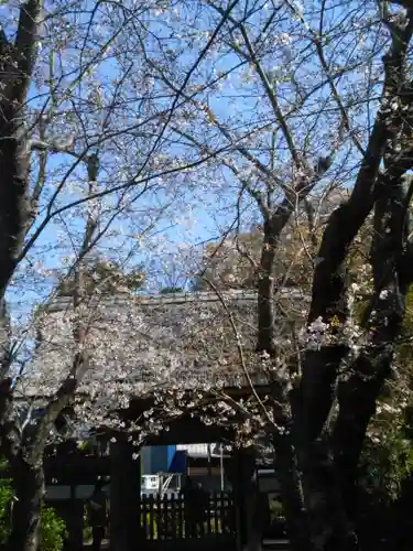 極楽寺（霊鷲山感應院極楽律寺）の景色