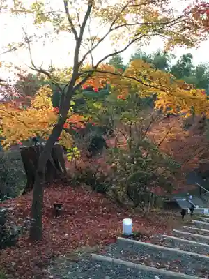 高台寺（高台寿聖禅寺・高臺寺）(京都府)