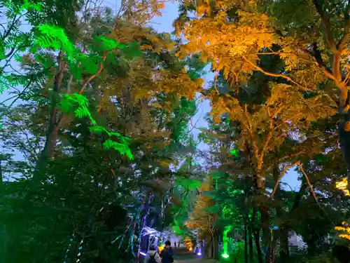 釧路一之宮 厳島神社の自然