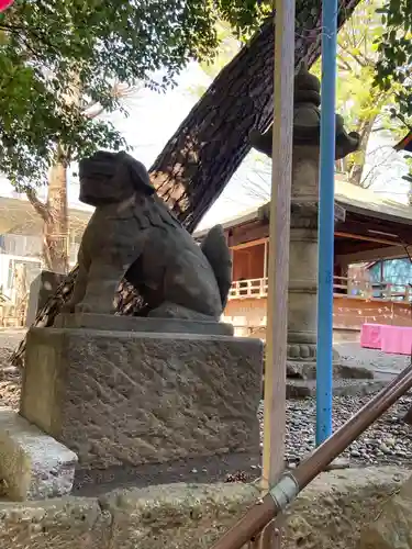 上目黒氷川神社の狛犬