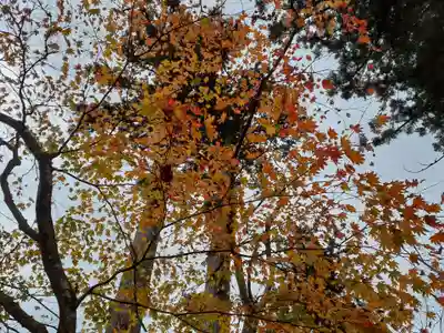 補陀寺(秋田県)