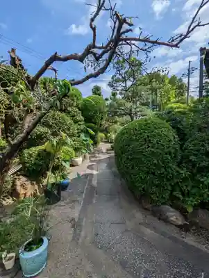 西蓮寺(京都府)