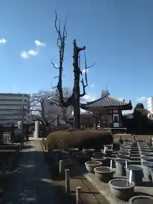 円乗院(東京都)