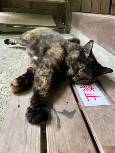 小松寺(千葉県)