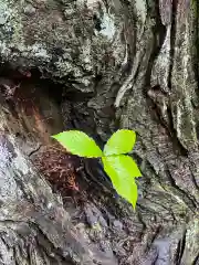 多賀神社(福島県)