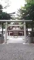 新琴似神社の鳥居