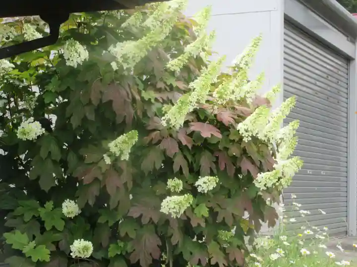 龍泉寺(神奈川県)