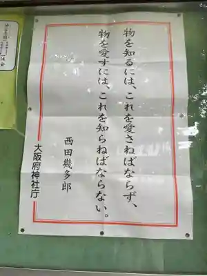 新しい神語です。