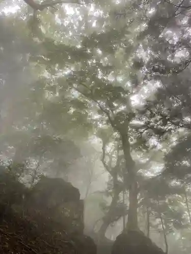 大山阿夫利神社本社の周辺