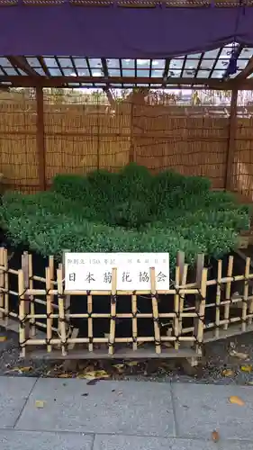 靖國神社の自然