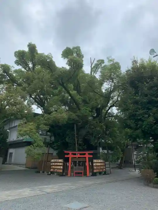 富知六所浅間神社の自然