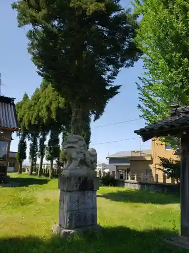 大清水神社の狛犬