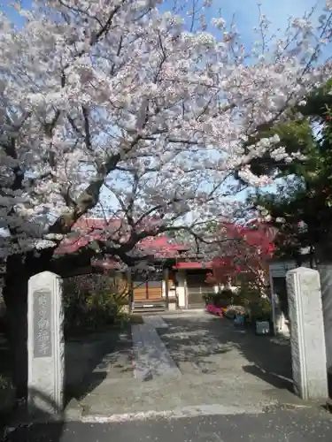 向福寺の景色