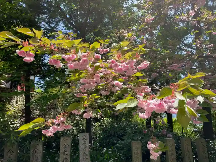 成相寺(京都府)