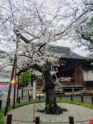 靖國神社(東京都)