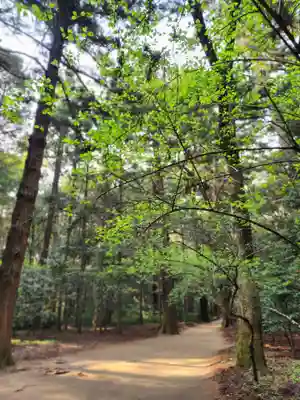 鹿島神宮(茨城県)