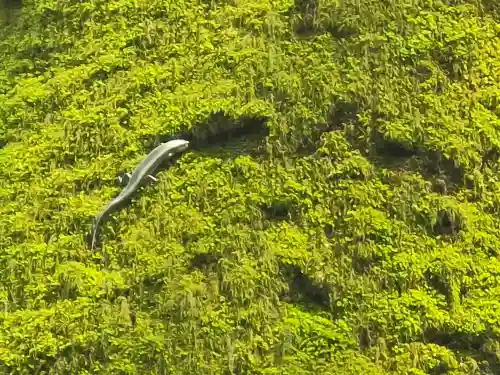 伊弉諾神宮(兵庫県)