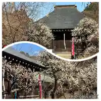 本土寺(千葉県)