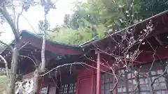 藤森稲荷神社の本殿