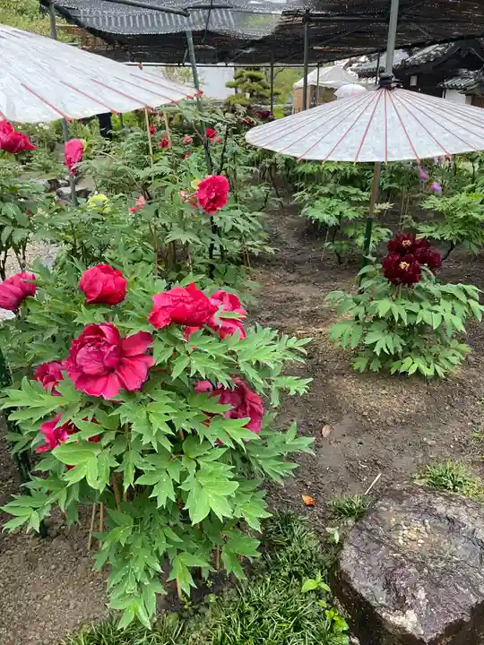 當麻寺西南院(奈良県)