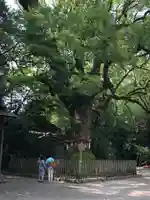 熱田神宮(愛知県)