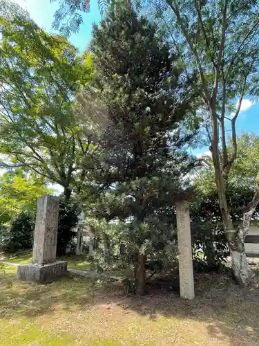 くろ谷 金戒光明寺の自然