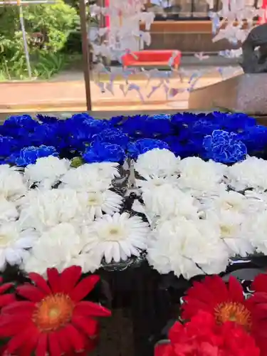 金峯神社(新潟県)