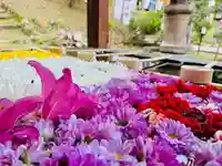 土津神社|こどもと出世の神さま(福島県)