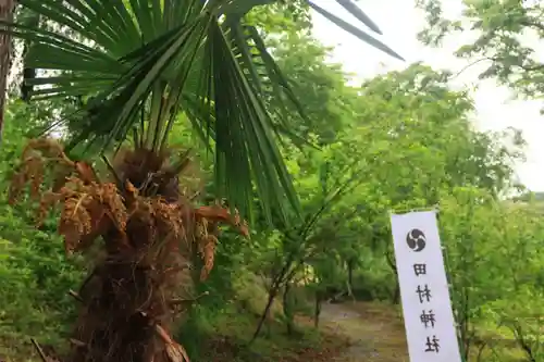 阿久津「田村神社」（郡山市阿久津町）旧社名：伊豆箱根三嶋三社の自然