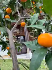 賀茂別雷神社(栃木県)