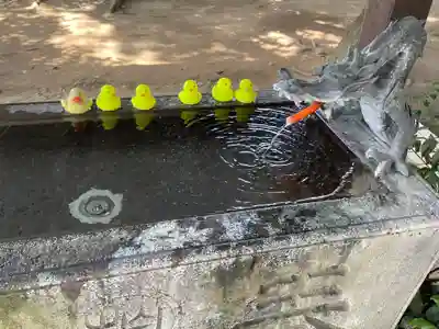 柏諏訪神社の手水舎