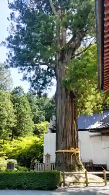 北口本宮冨士浅間神社(山梨県)