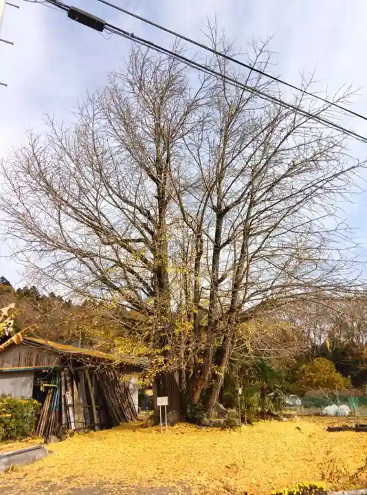 長言寺(埼玉県)
