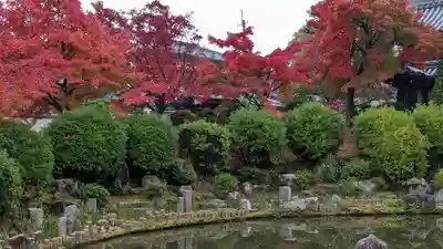 妙満寺(京都府)