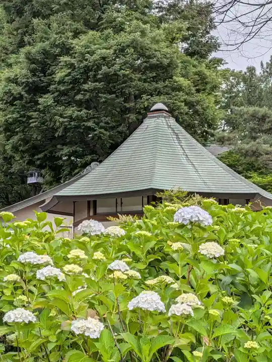 妙法寺(東京都)