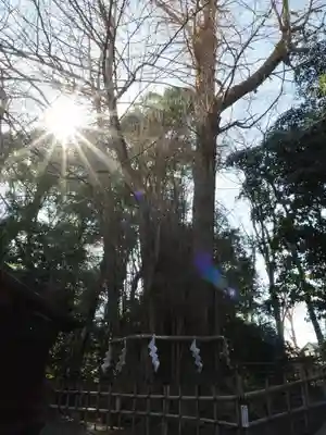 大國魂神社(東京都)