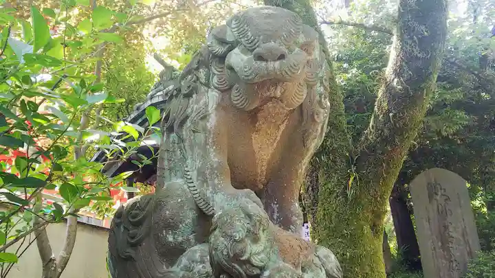 高幡不動尊 金剛寺の狛犬