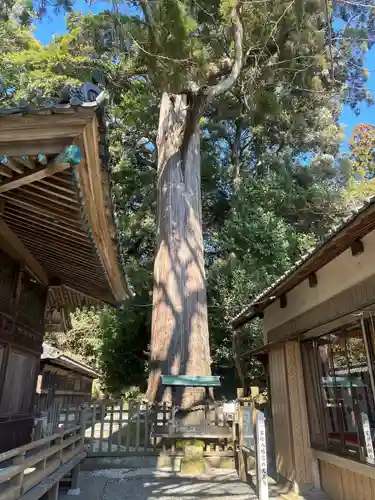 事任八幡宮(静岡県)