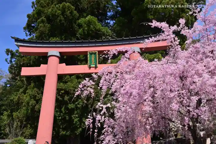 河口浅間神社(山梨県)