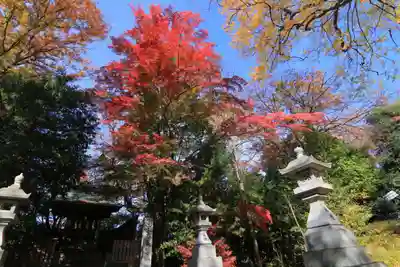 日吉神社の末社・摂社